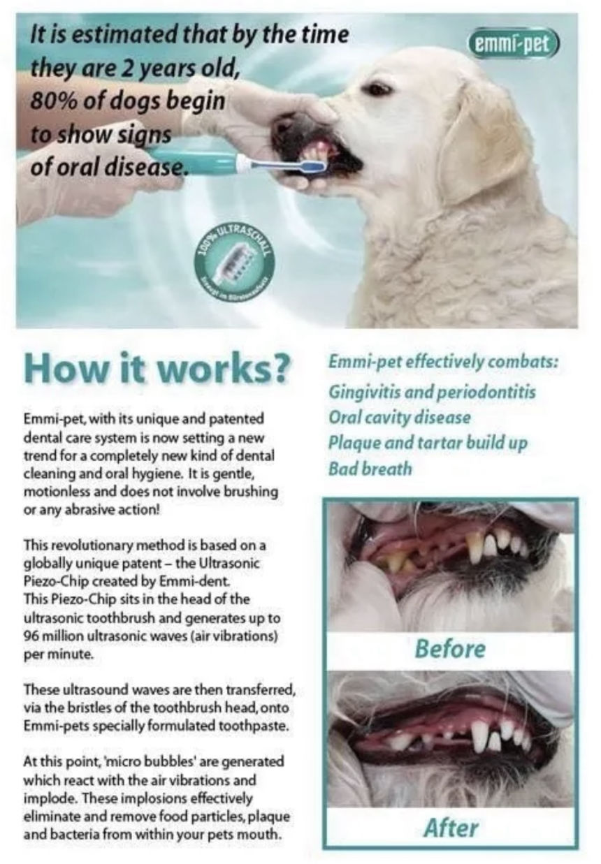 emmi-pet-tooth-cleaning