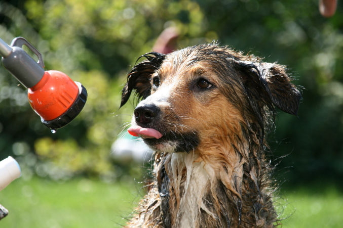 bath-groom-stockport